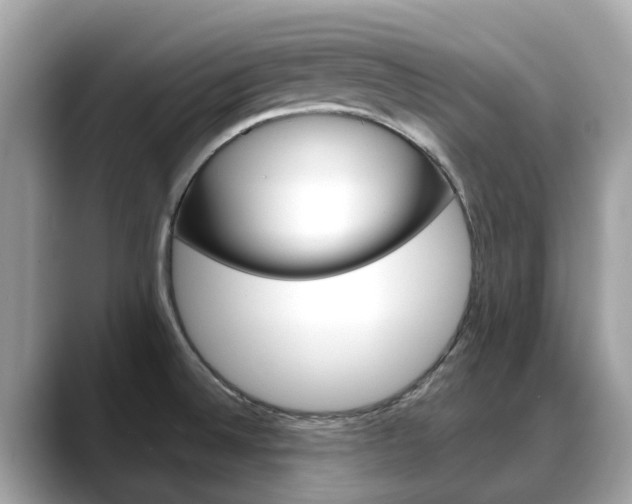 X0000088721524200705311047