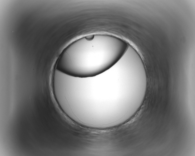 X0000088721526200705311047
