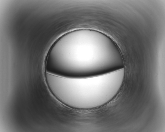 X0000088721527200705311047