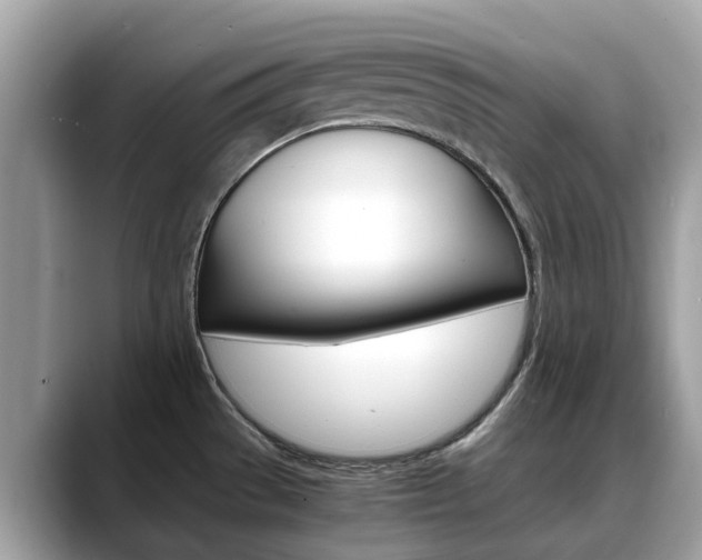 X0000088721529200705311047
