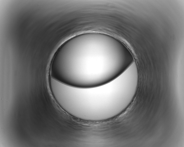 X0000088721530200705311047