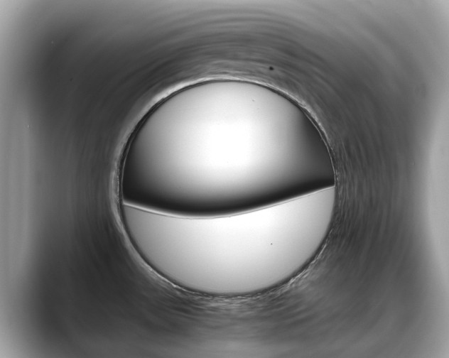 X0000088721531200705311048
