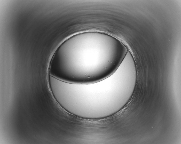 X0000088721532200705311048