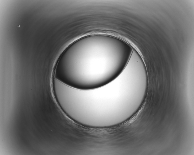 X0000088721533200705311048