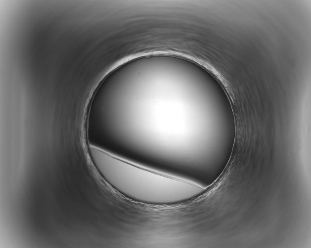 X0000088721534200705311048