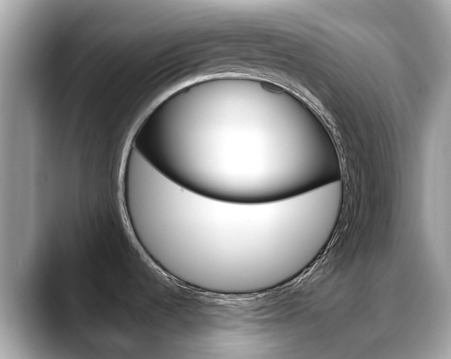 X0000088721536200705311048