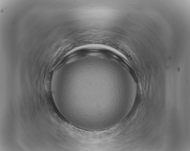 X0000088720035200705311434