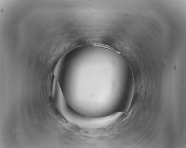 X0000088720041200705311433