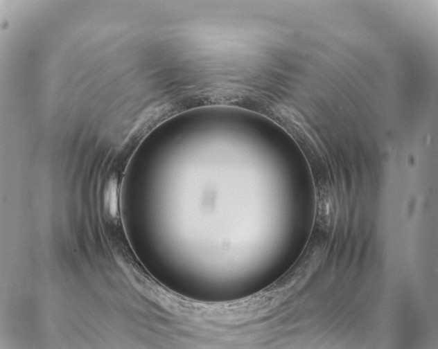 X0000088720046200705311433
