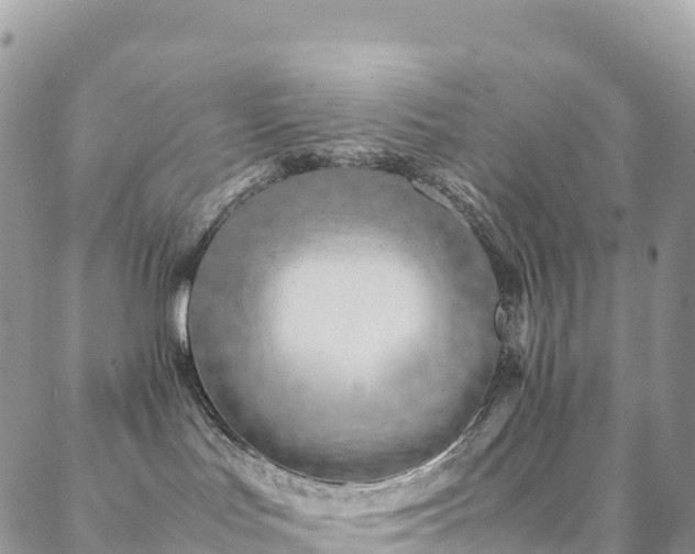 X0000088720047200705311433