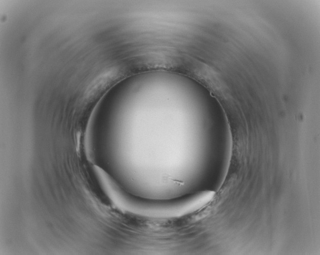 X0000088720070200705311433