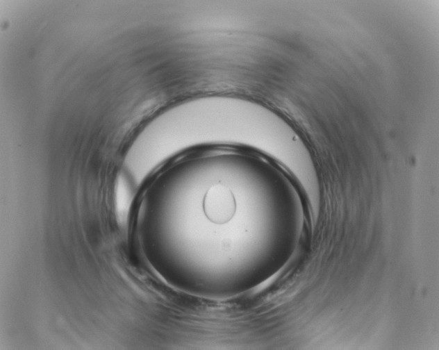 X0000088720072200705311433