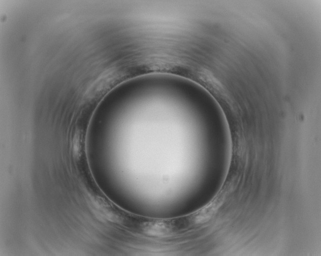 X0000088720074200705311433