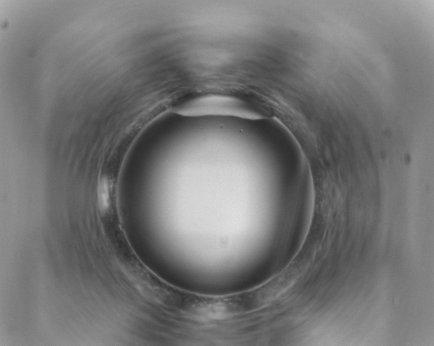 X0000088720075200705311433