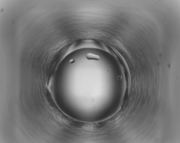 X0000088720076200705311433