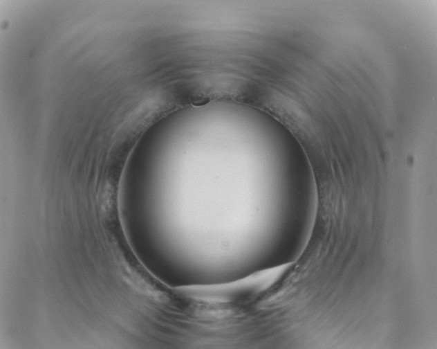 X0000088720077200705311433