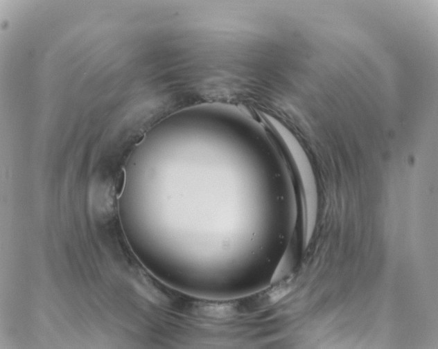 X0000088720081200705311433