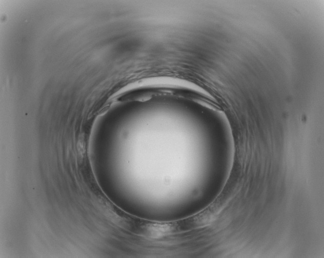 X0000088720085200705311433