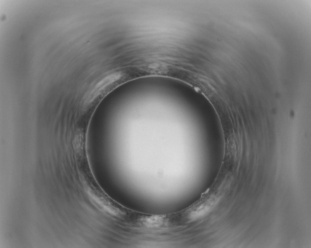 X0000088720092200705311433