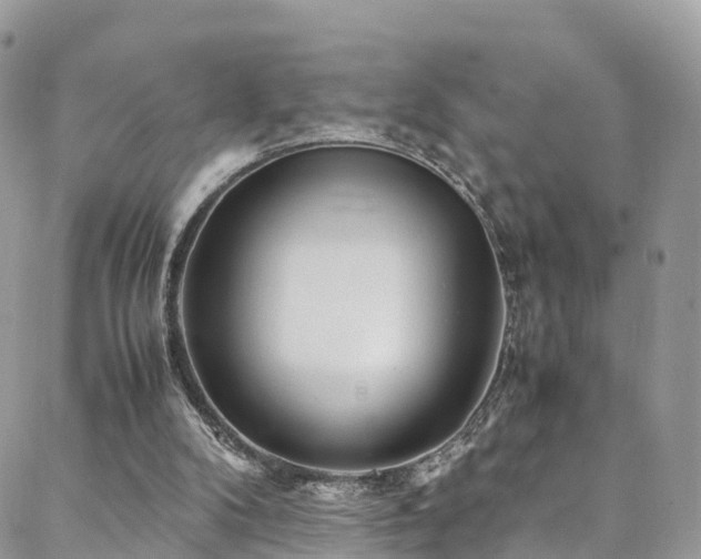 X0000088720104200705311432
