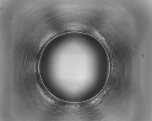 X0000088720106200705311432