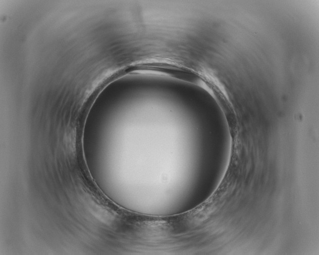 X0000088720108200705311432