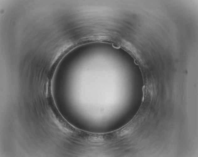 X0000088720110200705311432