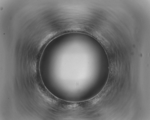 X0000088720112200705311432