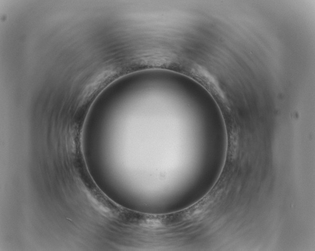 X0000088720114200705311432
