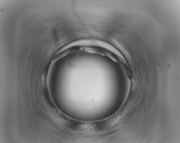 X0000088720117200705311432