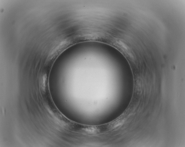 X0000088720118200705311432