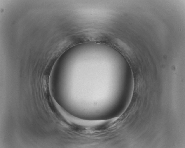 X0000088720121200705311432