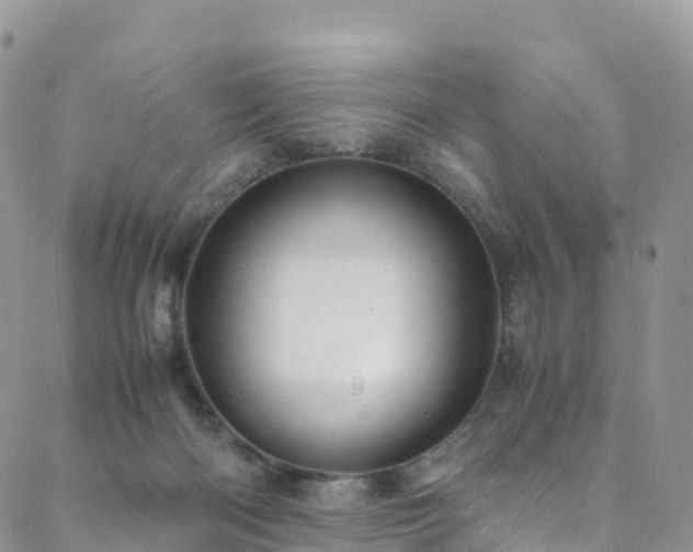 X0000088720122200705311432