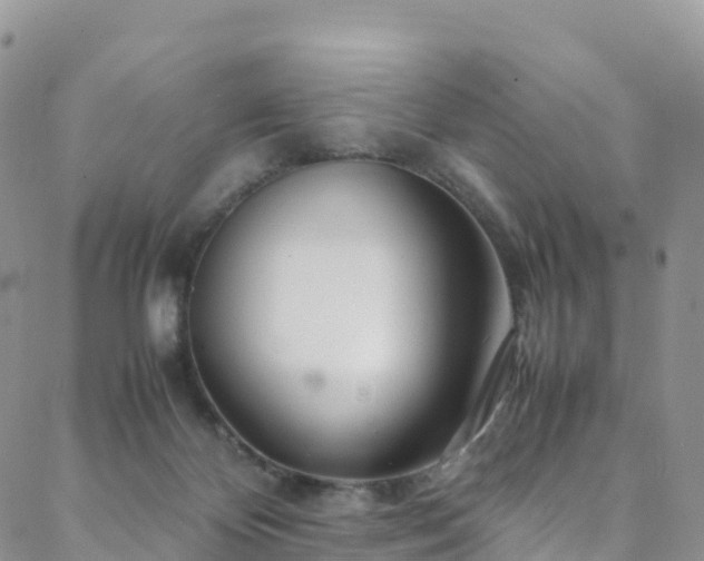 X0000088720124200705311432