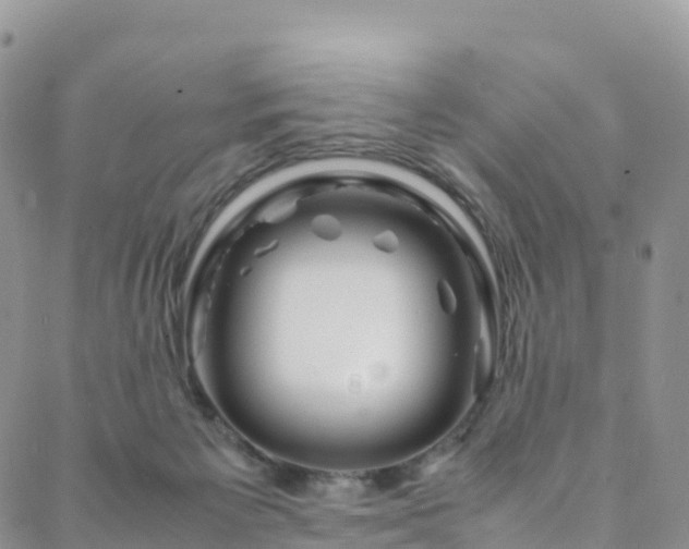 X0000088720125200705311432