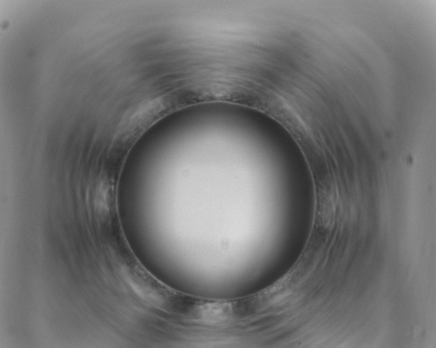 X0000088720126200705311432