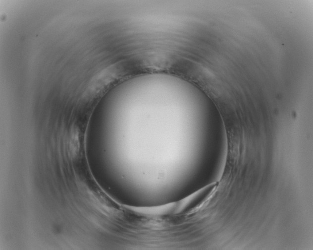 X0000088720128200705311432