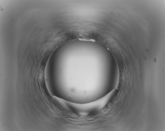 X0000088720129200705311432