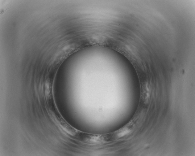X0000088720130200705311432