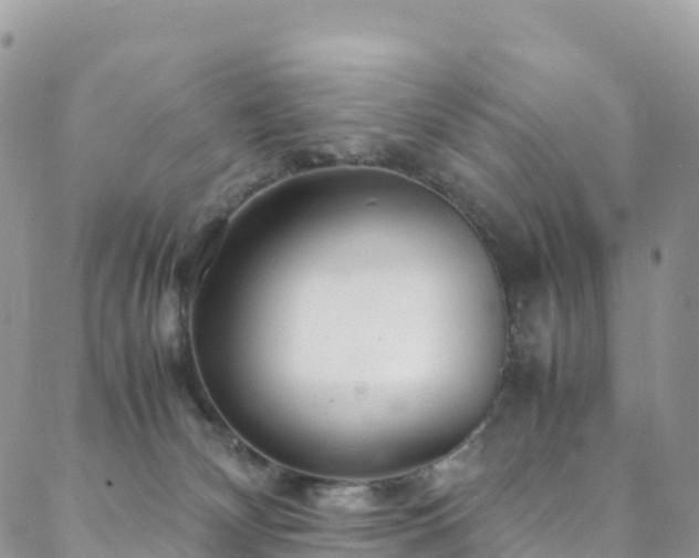 X0000088720132200705311432