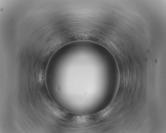 X0000088720134200705311432