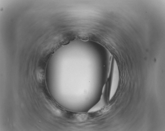 X0000088720135200705311432