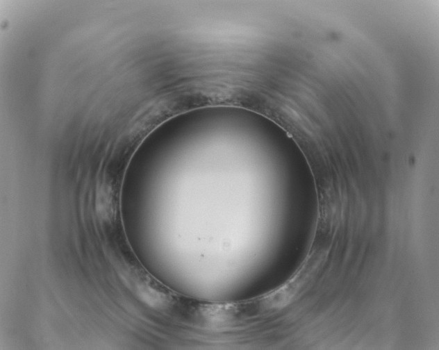 X0000088720136200705311432