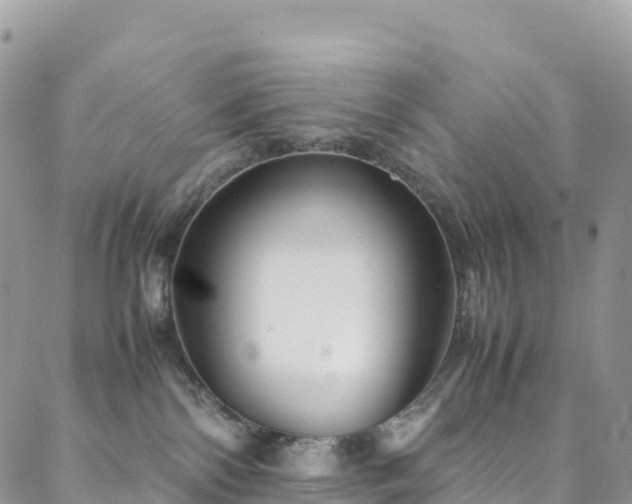 X0000088720138200705311432