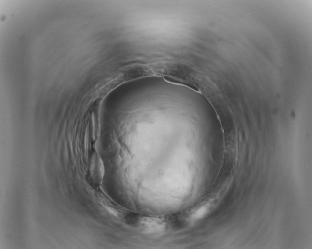 X0000088720139200705311432