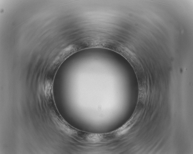 X0000088720142200705311432
