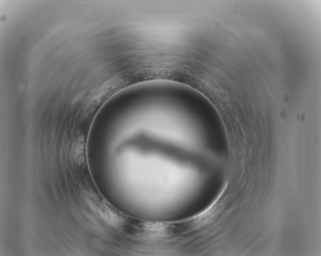 X0000088720144200705311432