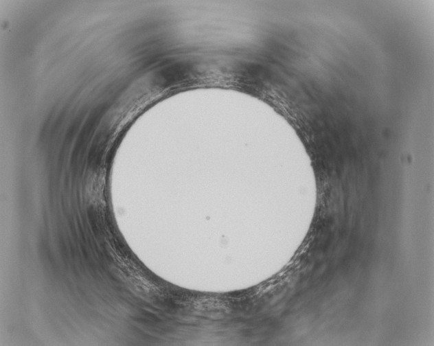 X0000088720146200705311431