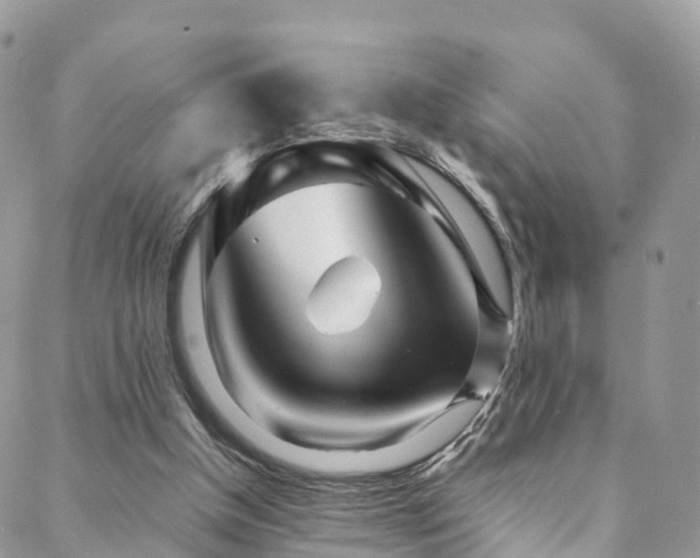 X0000088720154200705311431