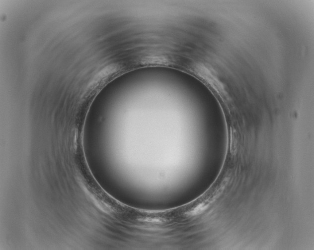 X0000088720157200705311431